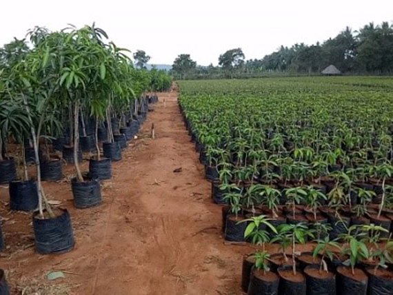 HTML5 Bootstrap Template by colorlib.com